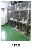 入院室
