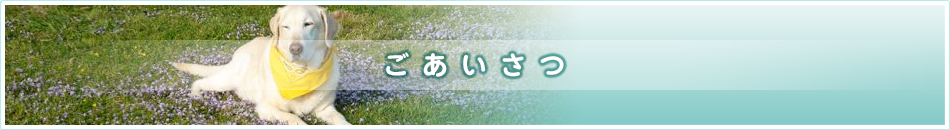 ごあいさつ