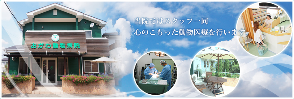 当院ではスタッフ一同心のこもった動物医療を行います。