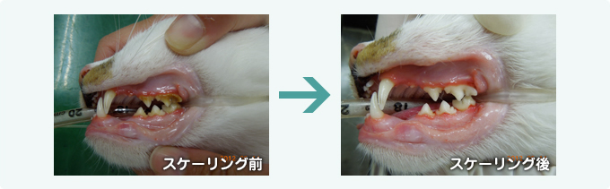 スケーリング前・スケーリング後