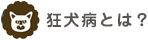 狂犬病とは？