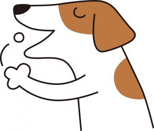 ジョーくんのみ